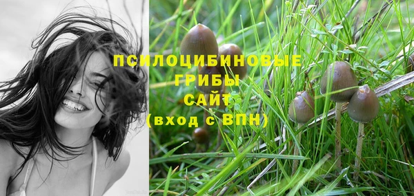 соль ск Алексеевка