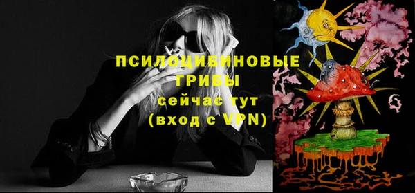 соль ск Алексеевка