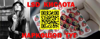 spice Шелехов