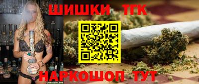 крисы Шебекино