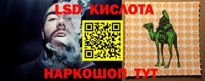 крисы Шебекино