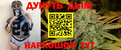 крисы Шебекино