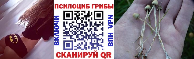 купить наркотики цена Балашиха Галлюциногенные грибы мухоморы
