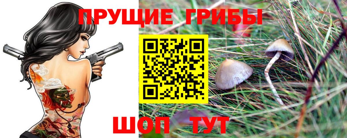 Балашиха  Псилоцибиновые грибы мухоморы  Вход с VPN 