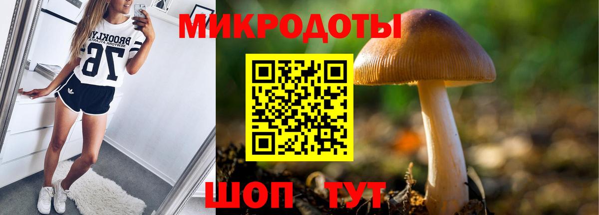 Псилоцибиновые грибы Psilocybe Балашиха